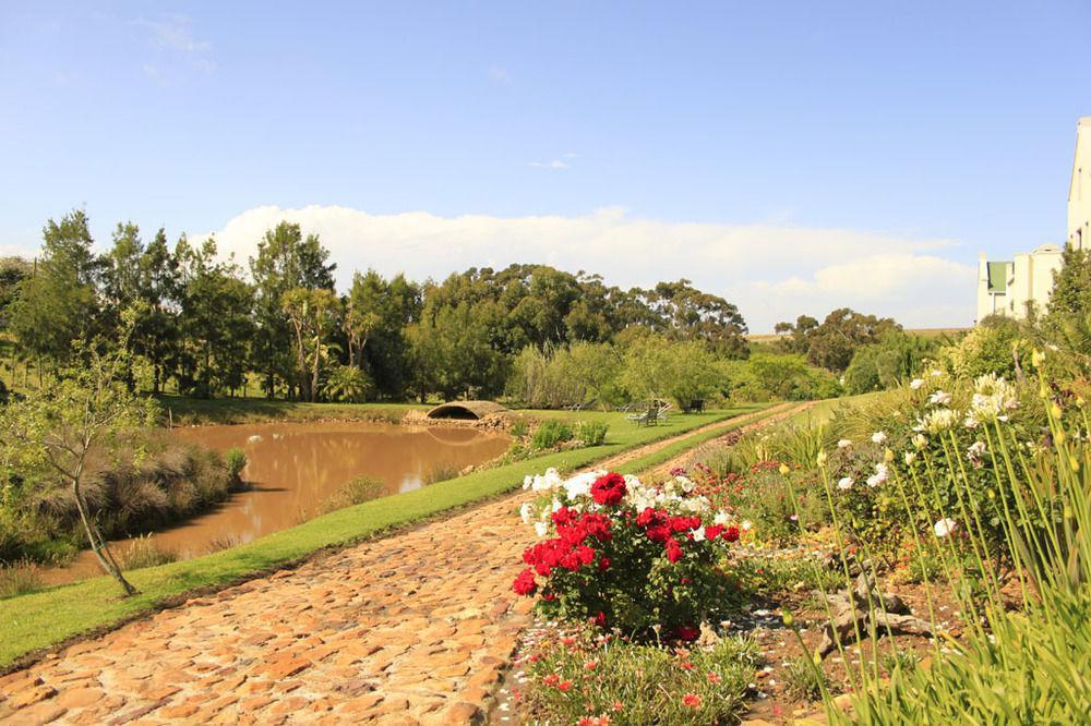 Peace Valley Guesthouse Napier ภายนอก รูปภาพ